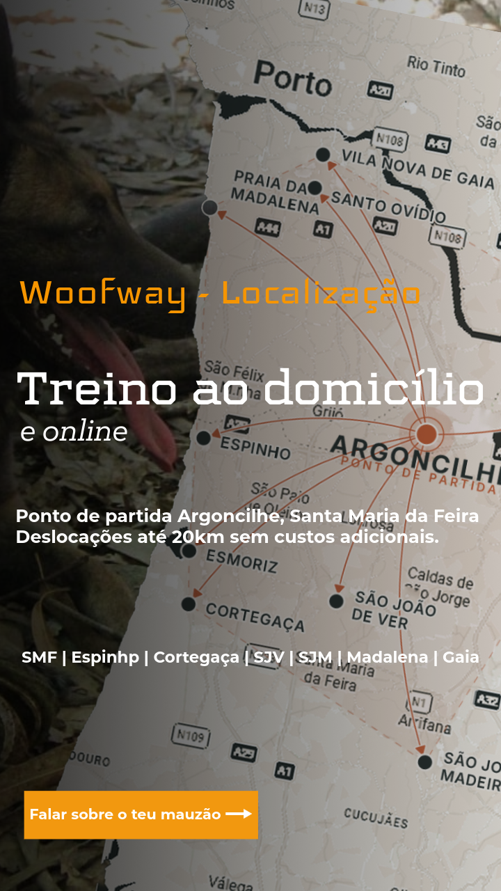Falar com treinador de cães
