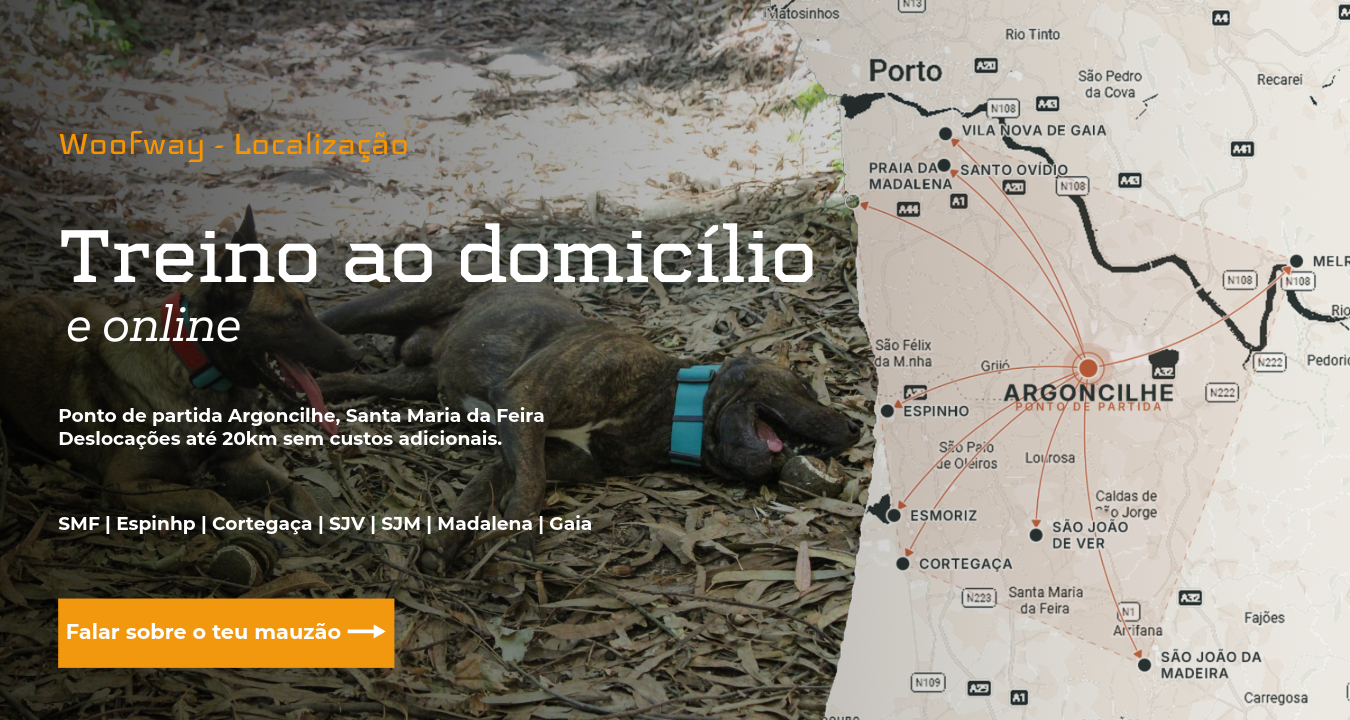 Falar com treinador de cães